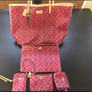 5 piece coach bag and accessories